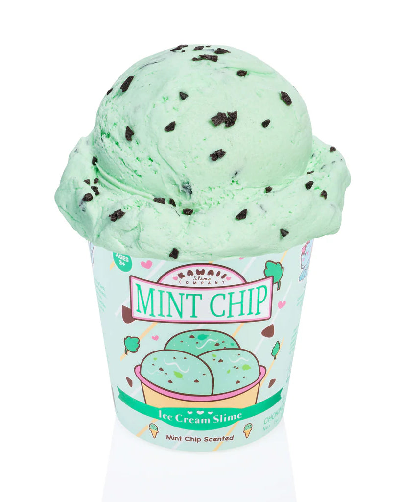 Mint Chip Ice Cream Pint Slime A Touch of Magnolia Boutique