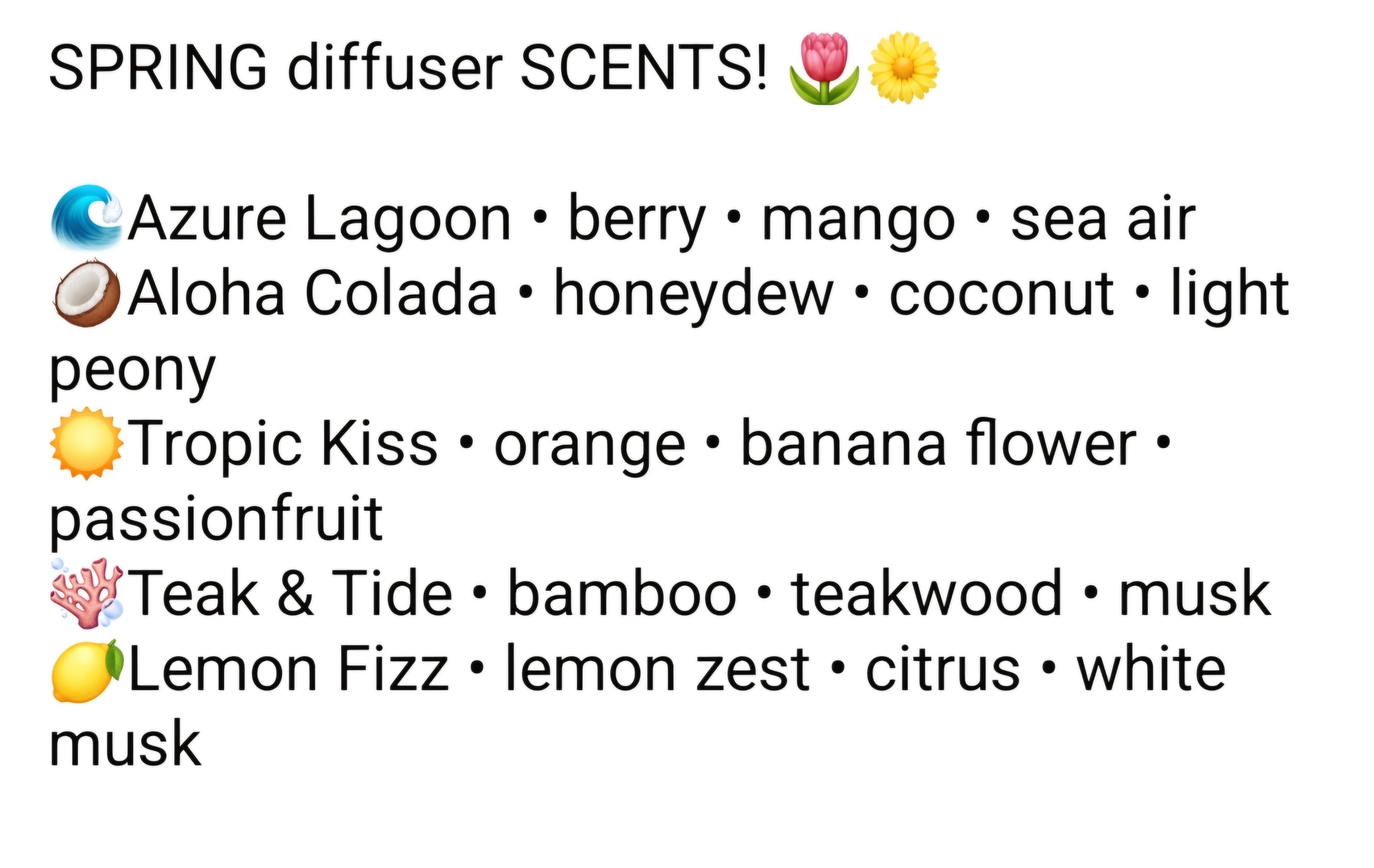 Car Diffuser (multiple scent options) A Touch of Magnolia Boutique