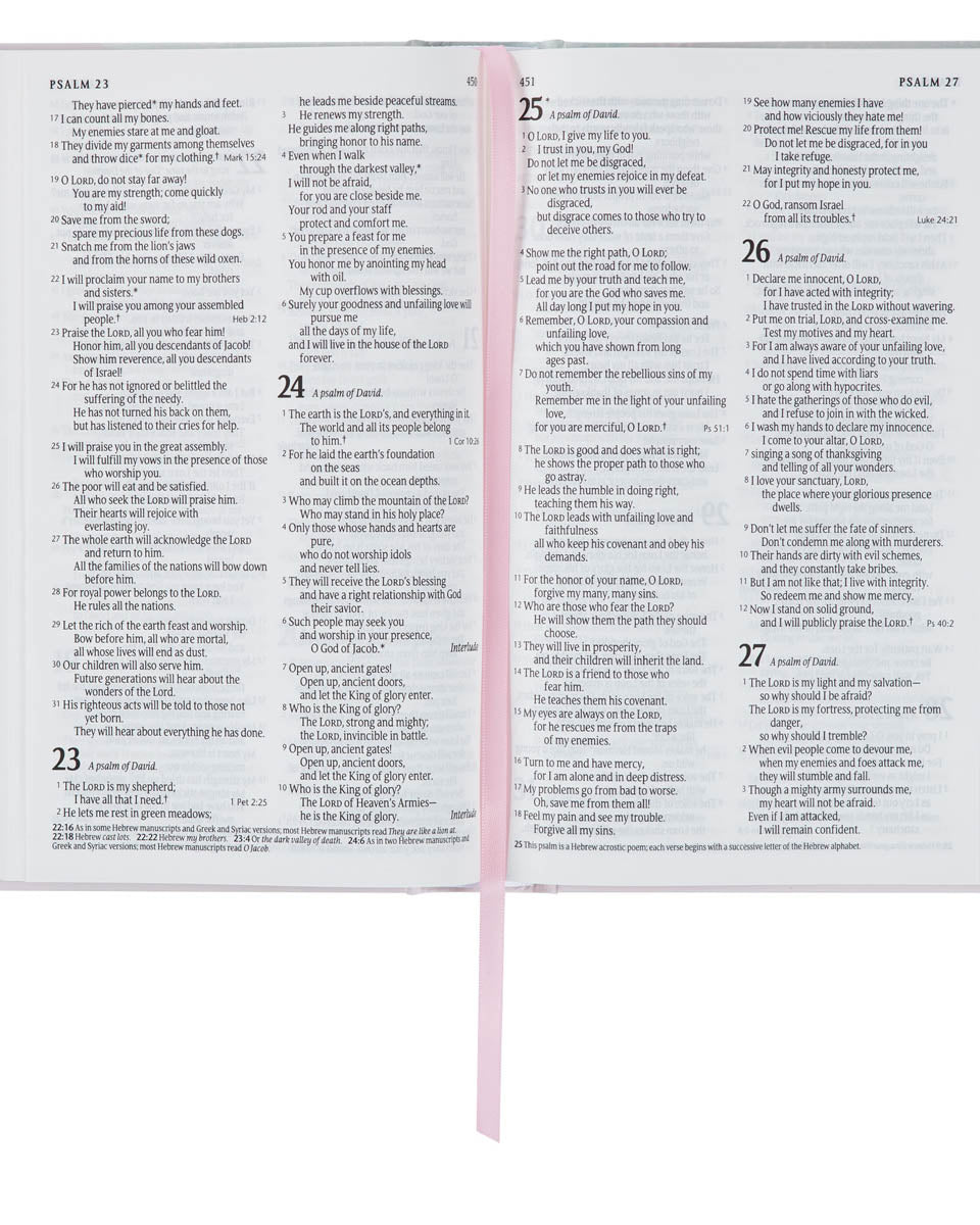 Bible Nlt Infant Hardcover, Pink A Touch of Magnolia Boutique