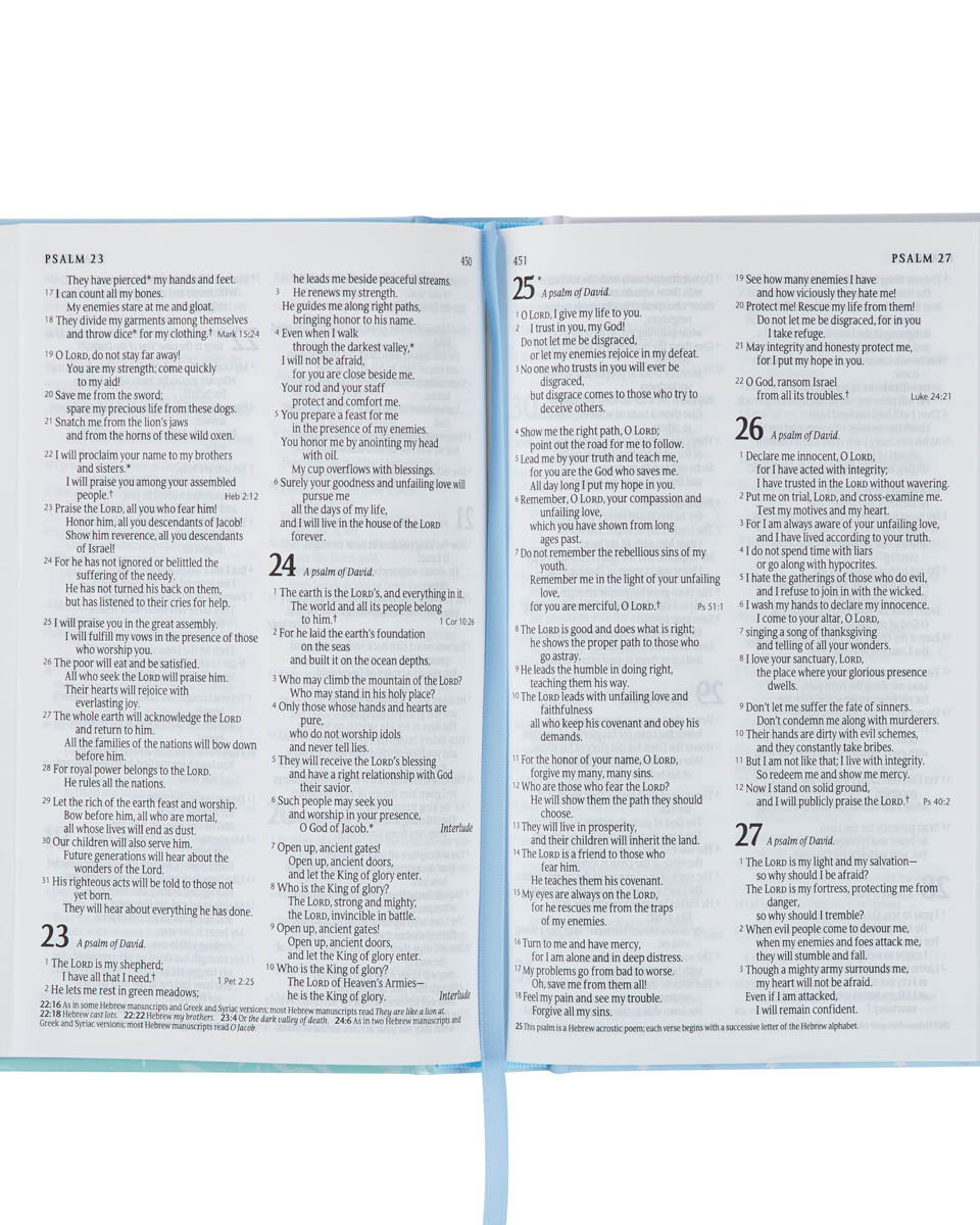 Bible Nlt Infant Hardcover, Blue A Touch of Magnolia Boutique