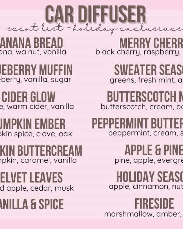 Car Diffuser (multiple scent options) A Touch of Magnolia Boutique