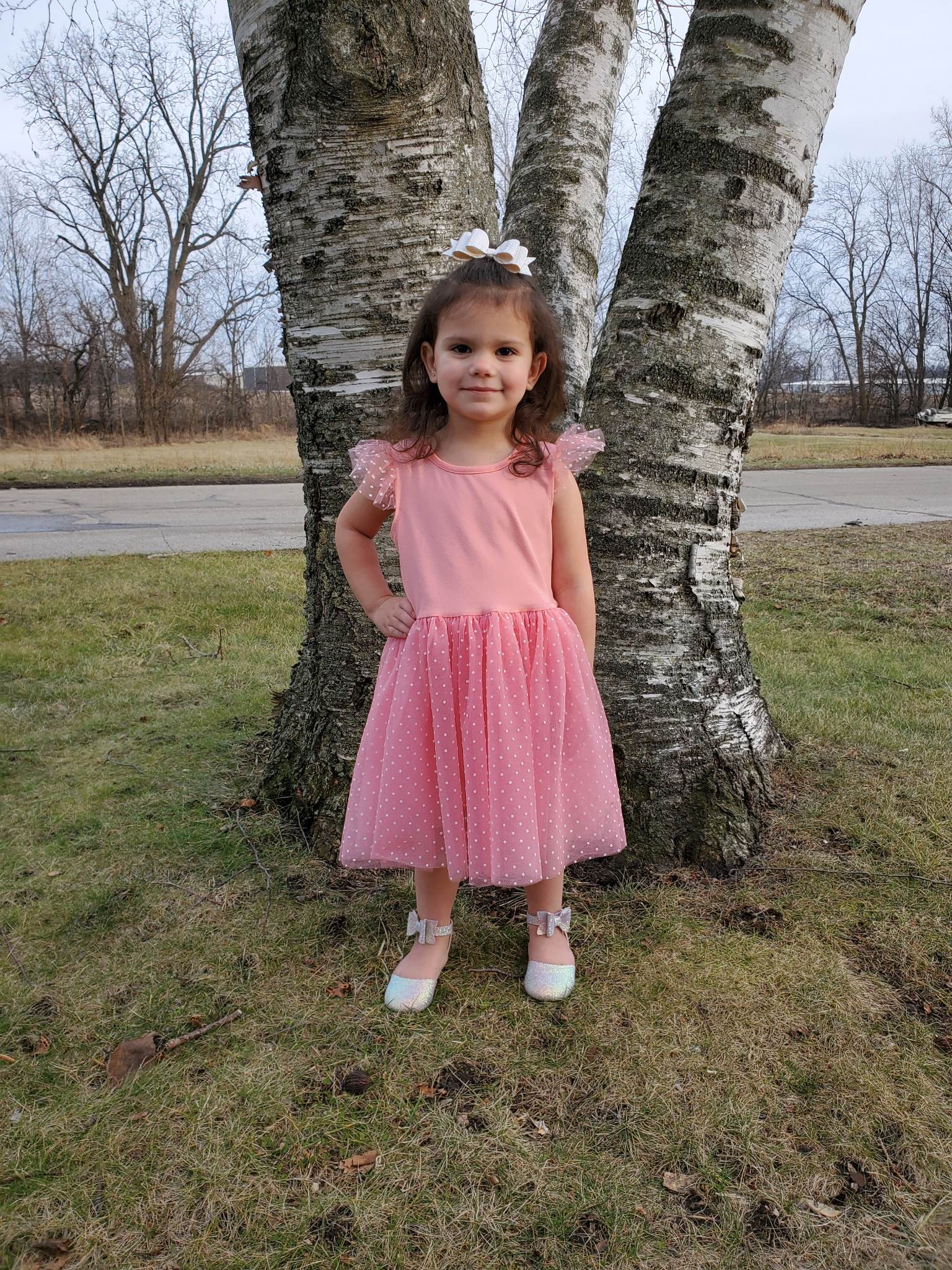 Pink Swiss Dot Tulle Flutter Sleeve Dress A Touch of Magnolia Boutique