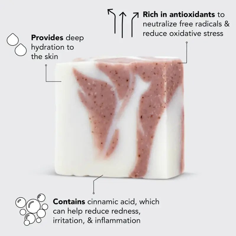 Shea Butter Exfoliating Body Wash A Touch of Magnolia Boutique