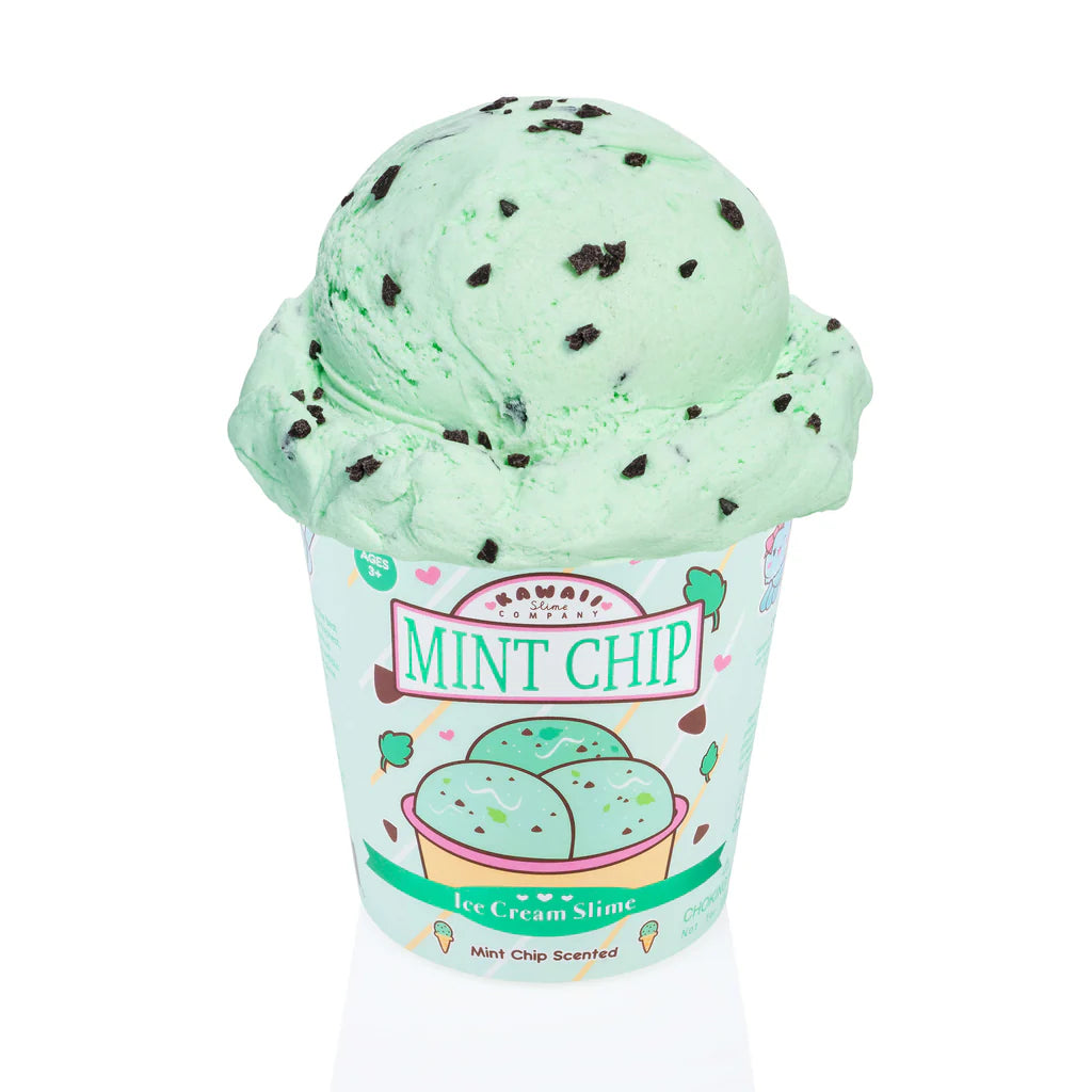 Mint Chip Ice Cream Pint Slime A Touch of Magnolia Boutique