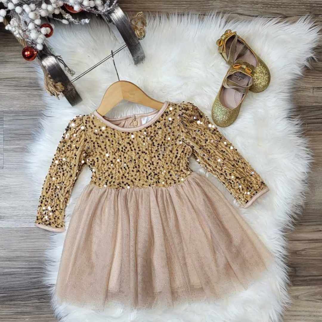 Long sleeve sequin hot sale tulle dress